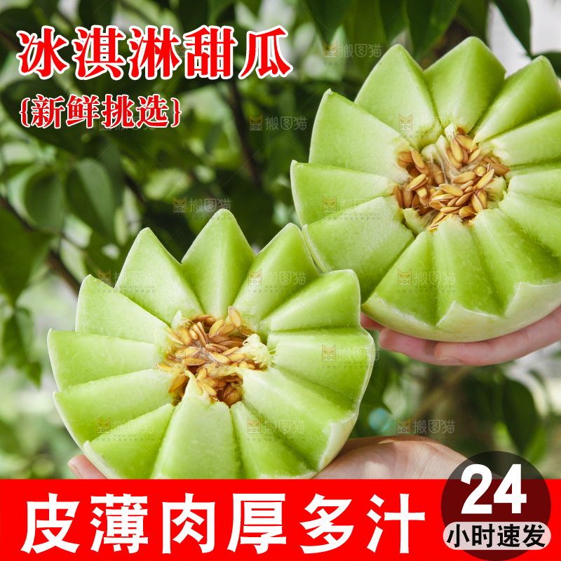 手里拿着山东玉菇甜瓜