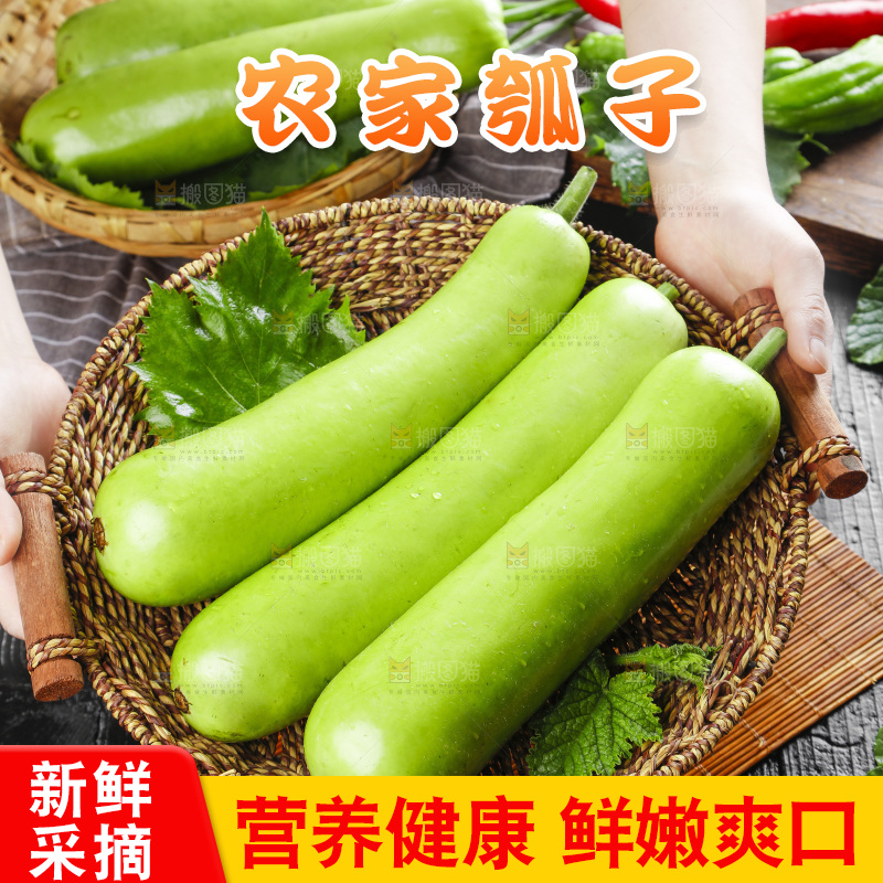篮子里放着瓠子