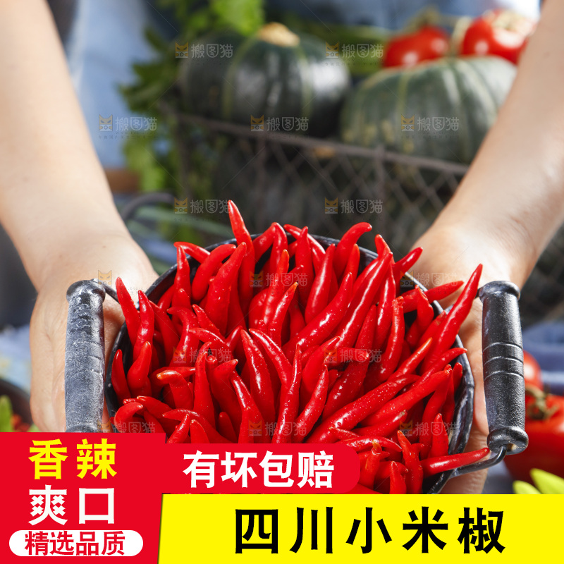 桶里装着小米椒