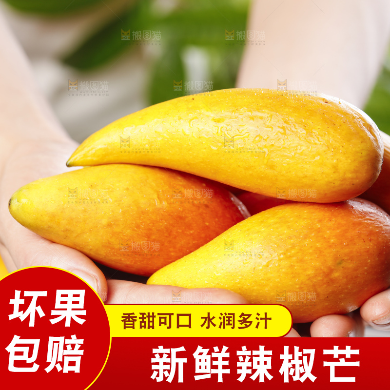 手里拿着新鲜芒果