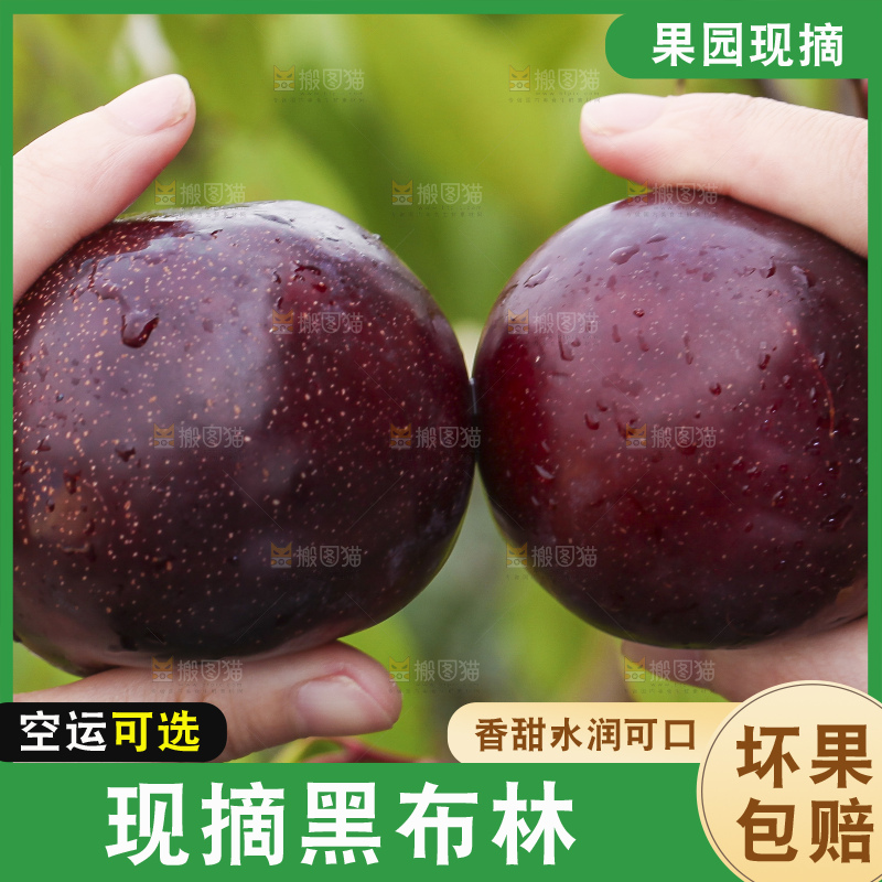 手里拿着黑布李
