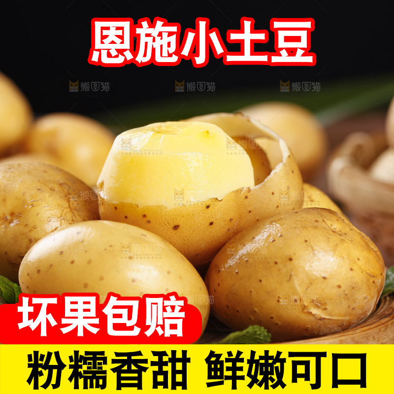黑石板上摆放着黄心小土豆