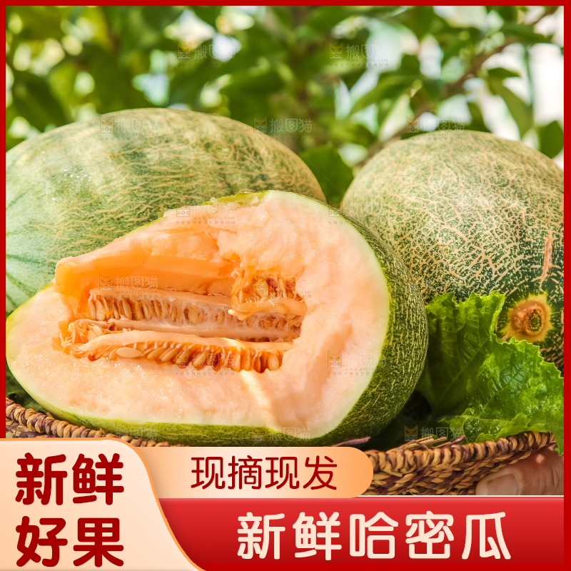 手里端着一篮网纹瓜