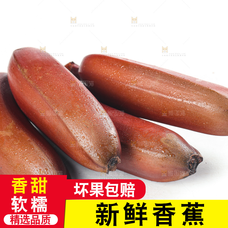 白底上的红皮美人蕉