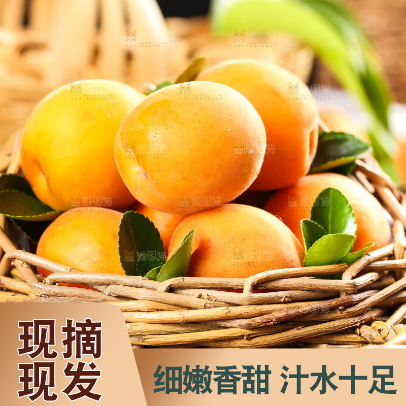 篮子里装着杏子