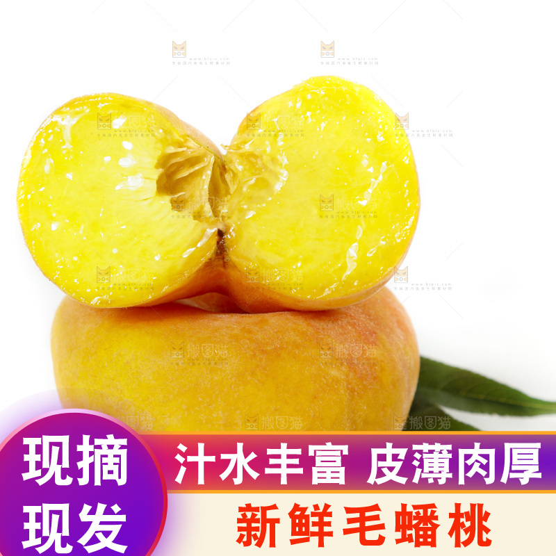 白底上的蒙阴毛蟠桃