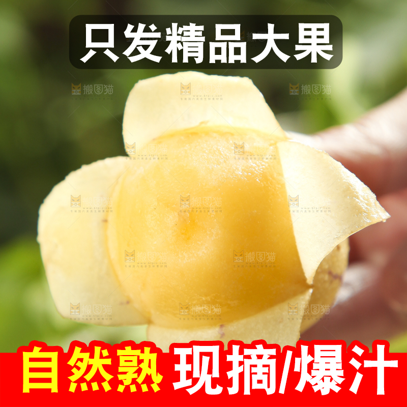 手里拿着人参圆果