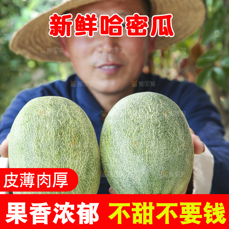 农民手里拿着哈密瓜