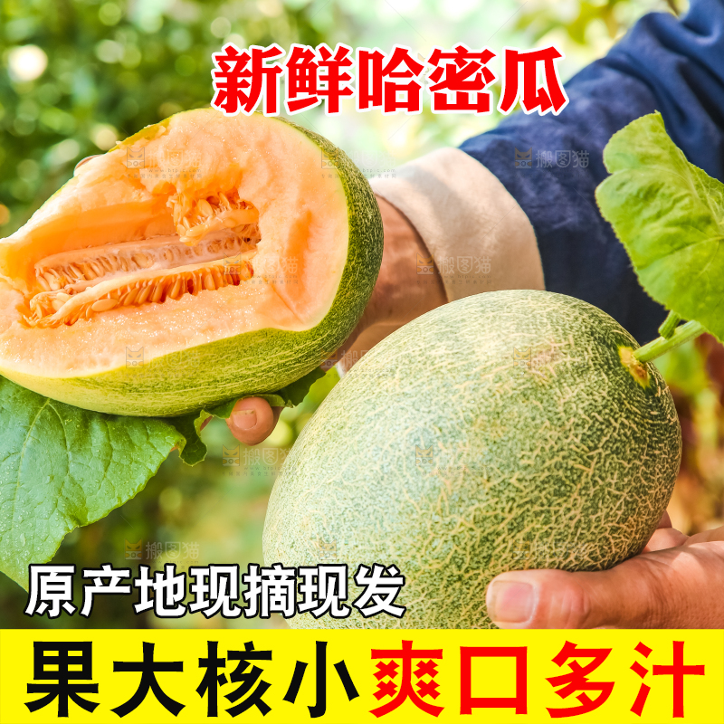 手里拿着网纹蜜瓜