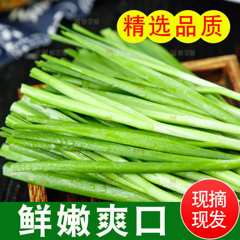 深底上摆放着山东韭菜
