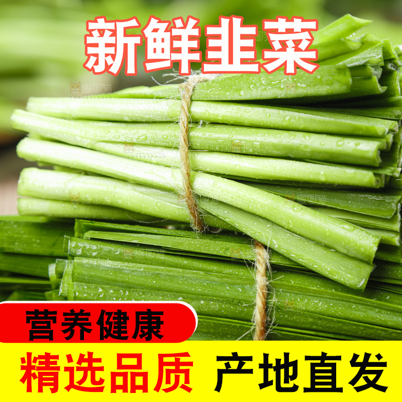 黑石上摆放着嫩韭菜