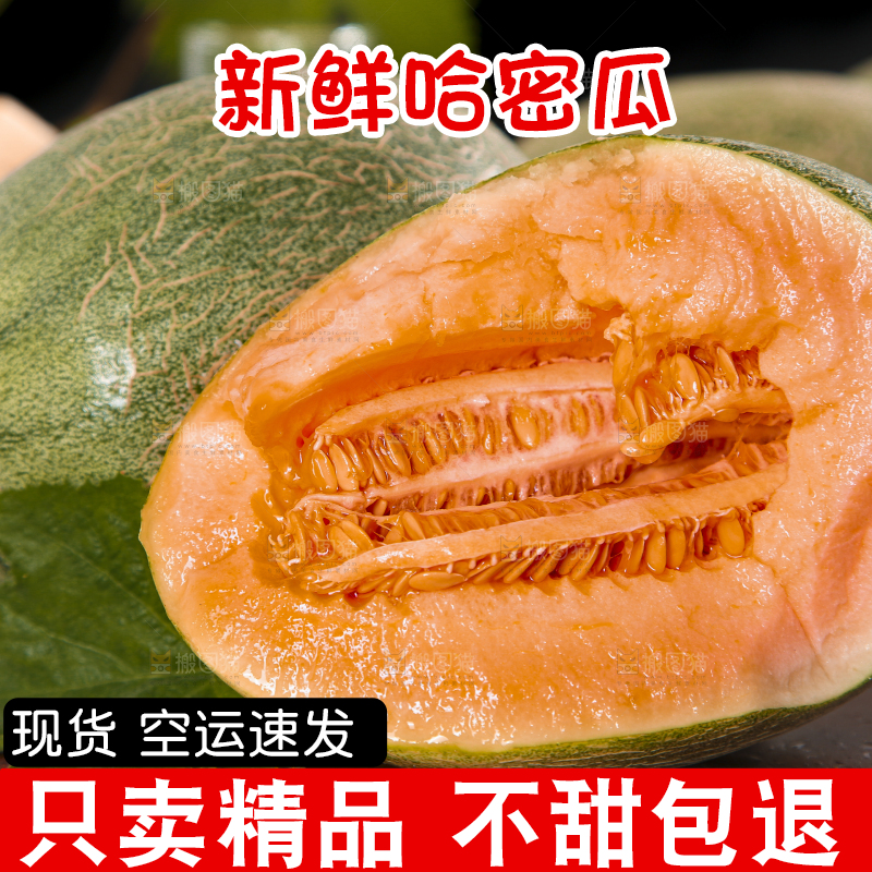 哈密瓜主图