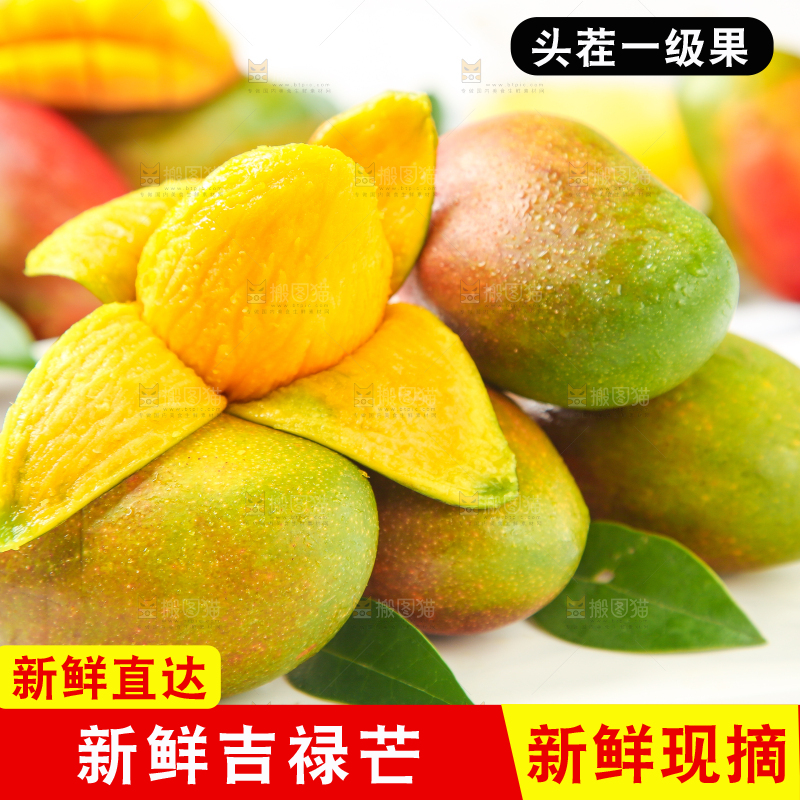 白石板上摆放着四川吉禄芒