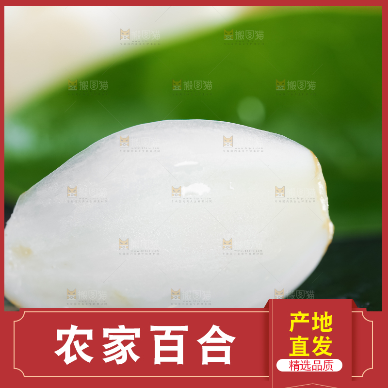 黑底上摆放着鲜百合