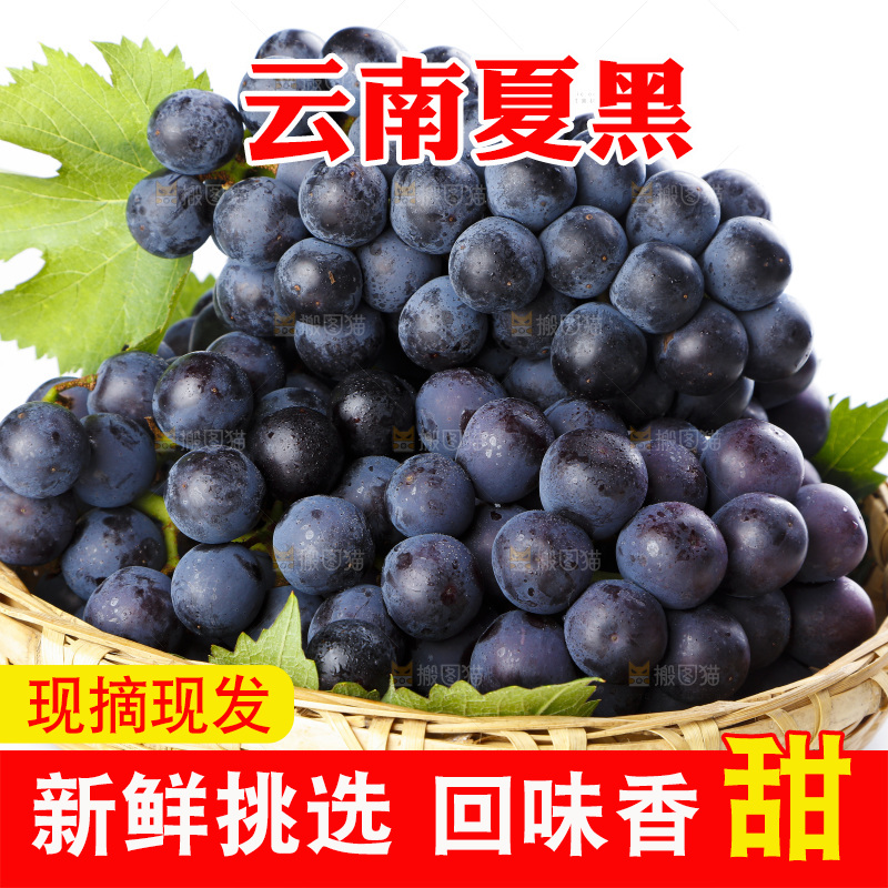 篮子里的夏黑无籽葡萄