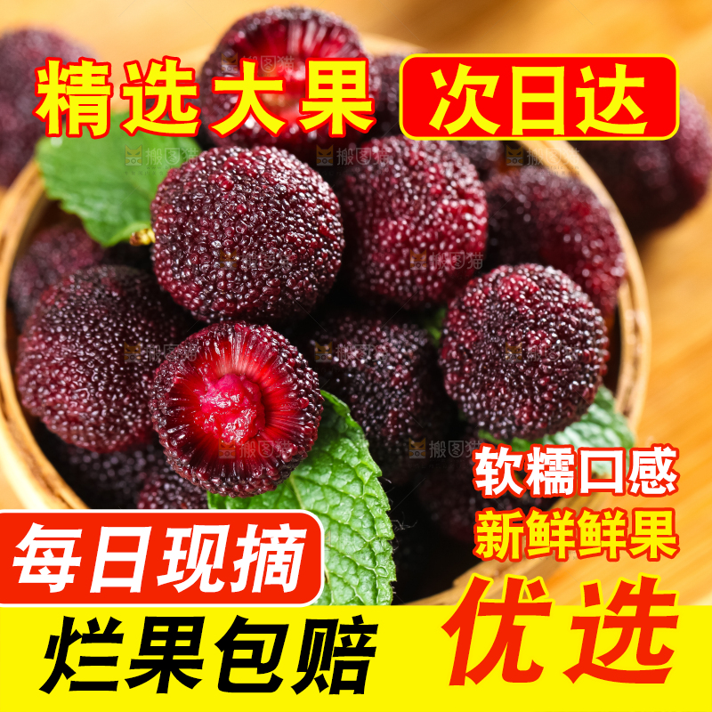 篮子里装着杨梅