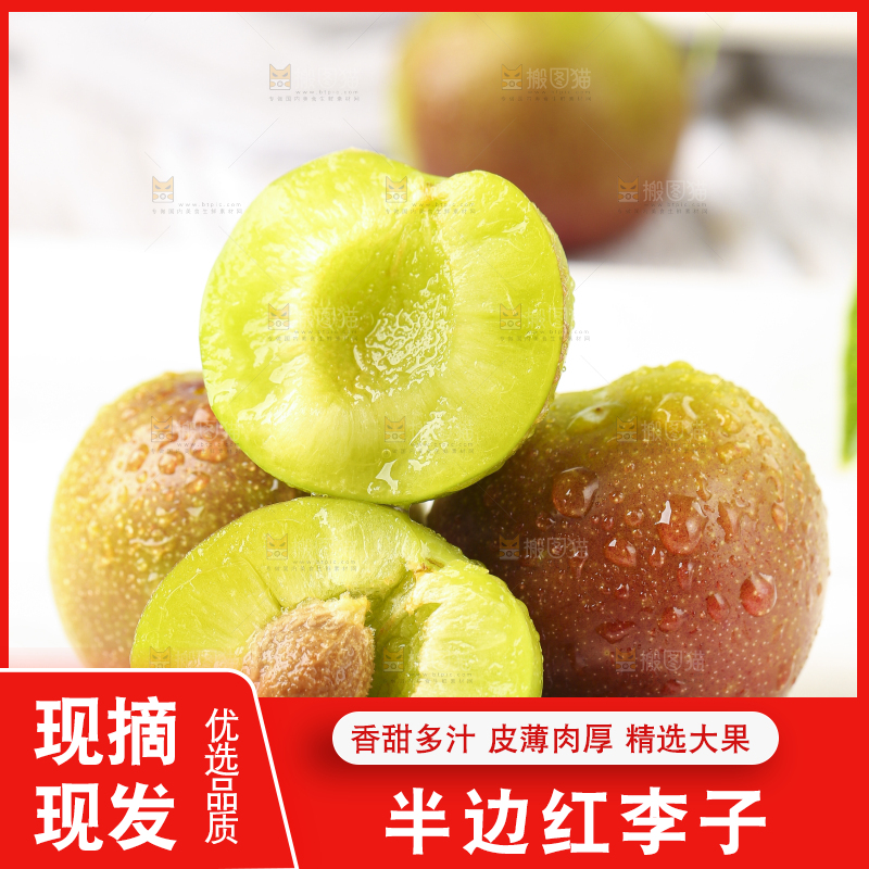 石板上摆放着四川茵红脱骨李