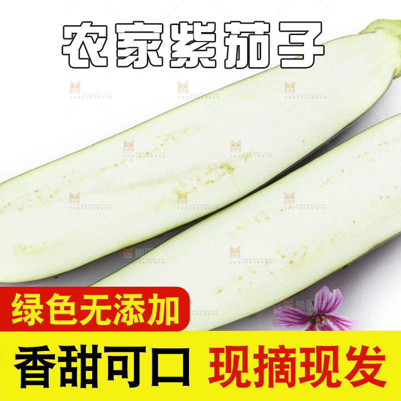 白底上摆放着紫茄子