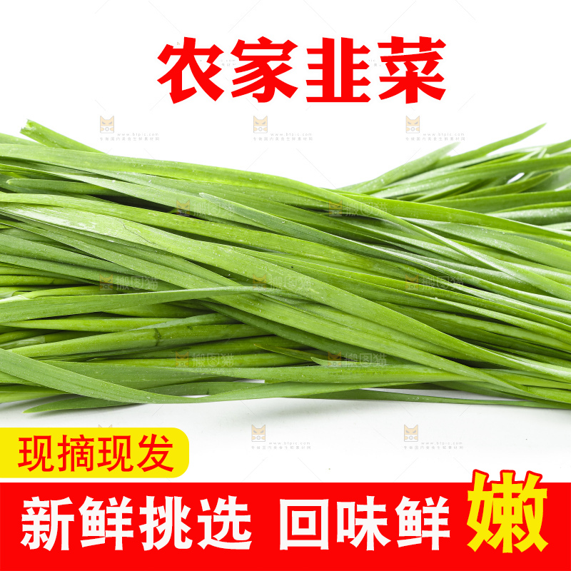 白底上摆放着嫩韭菜