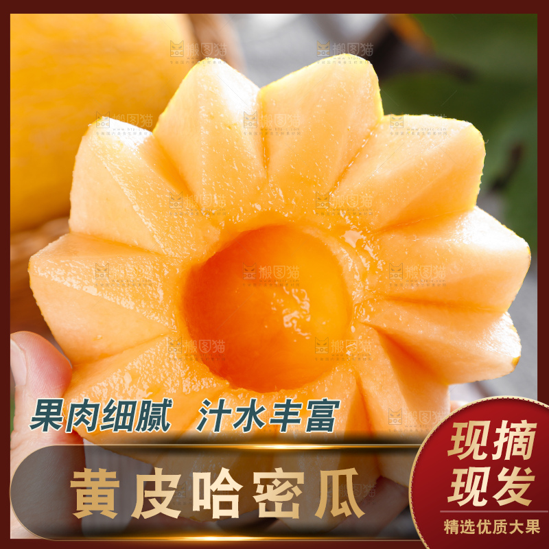 手里拿着黄皮哈密瓜