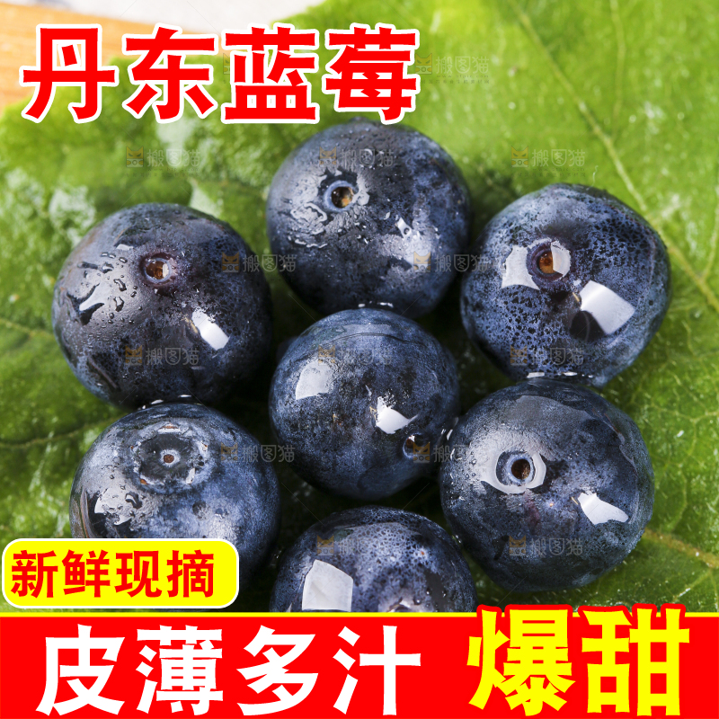 绿叶上放着蓝莓