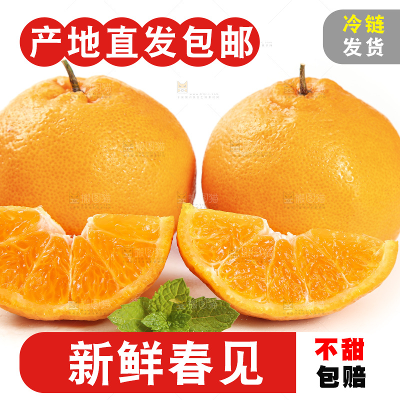 白底上放着一堆春见耙耙柑