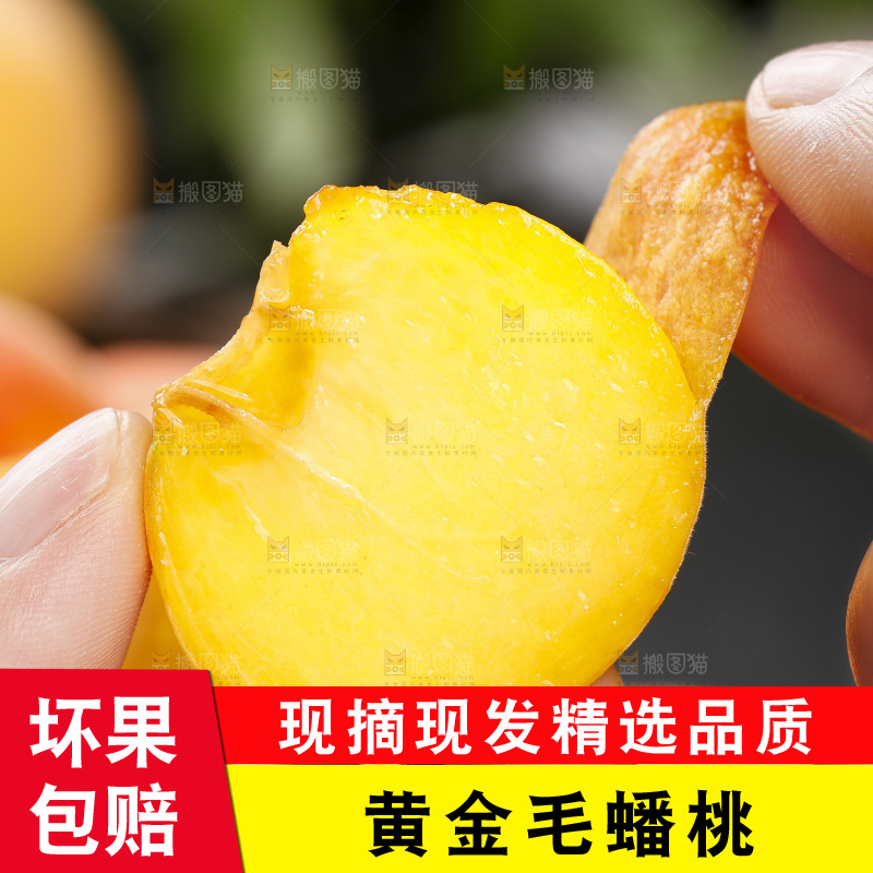 黑底上的毛蟠桃