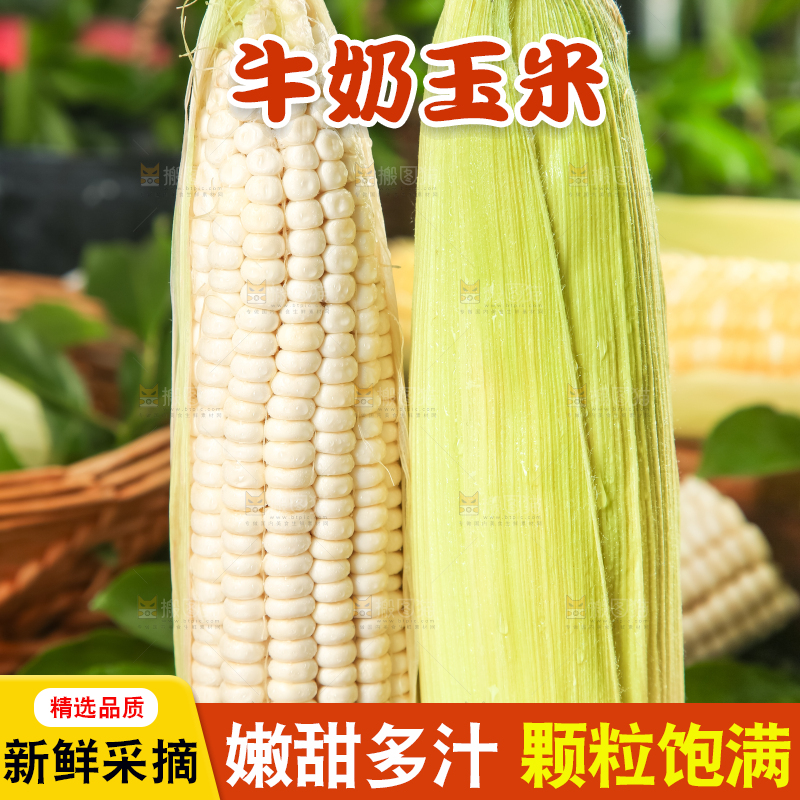 编织垫上放着玉米