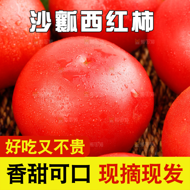 亮底上的新鲜西红柿