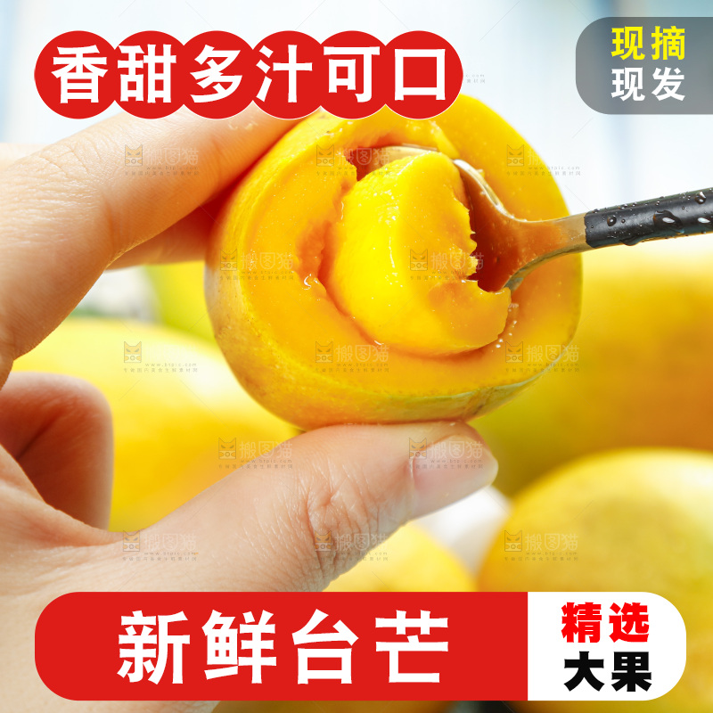 浅底上的海南小台农芒果