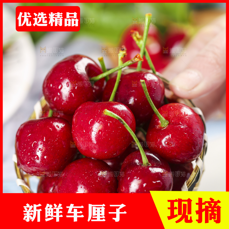 手里拿着黑珍珠