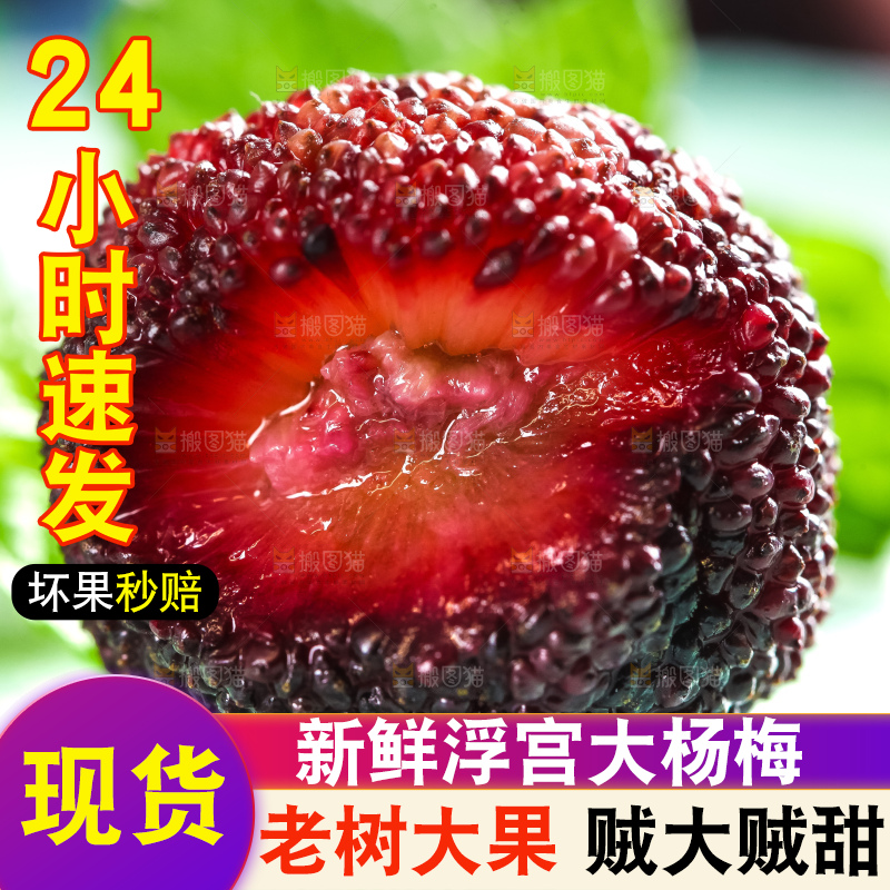 浅底上摆放着鲜杨梅