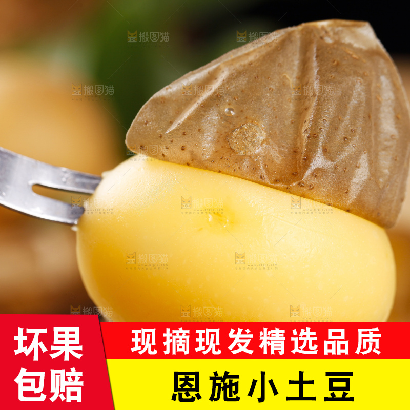 深底上的宜昌小土豆