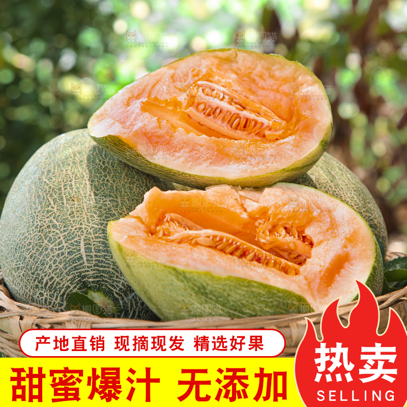 哈密瓜主图