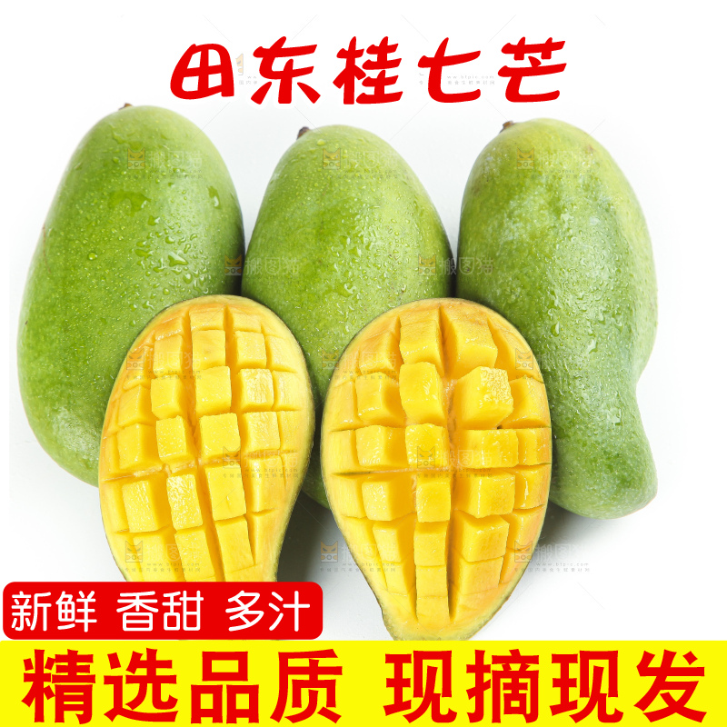 白底上的桂七香芒