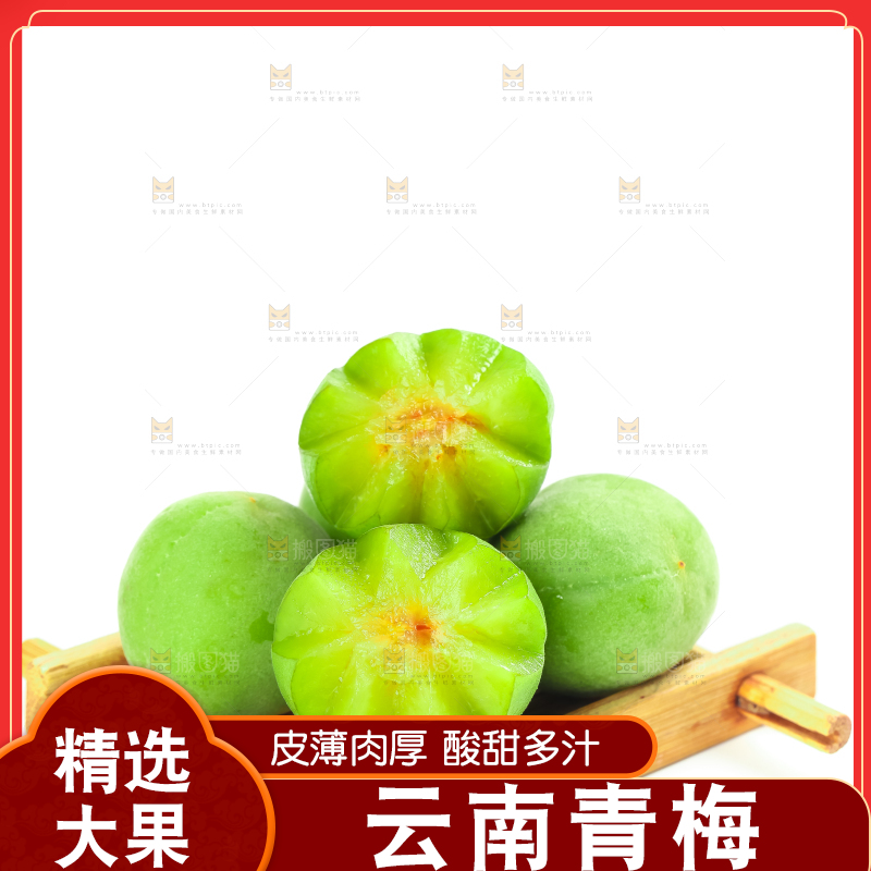 白底上的诏安青梅
