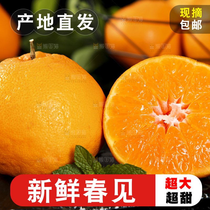 石板上摆放着四川春见耙耙柑