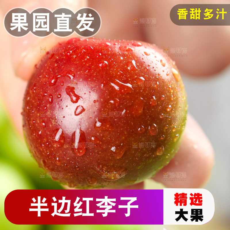 手里拿着脆红李