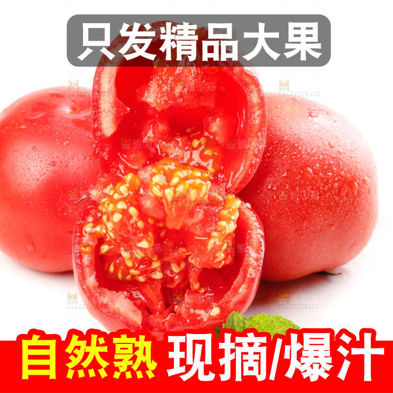 亮底上的新鲜西红柿
