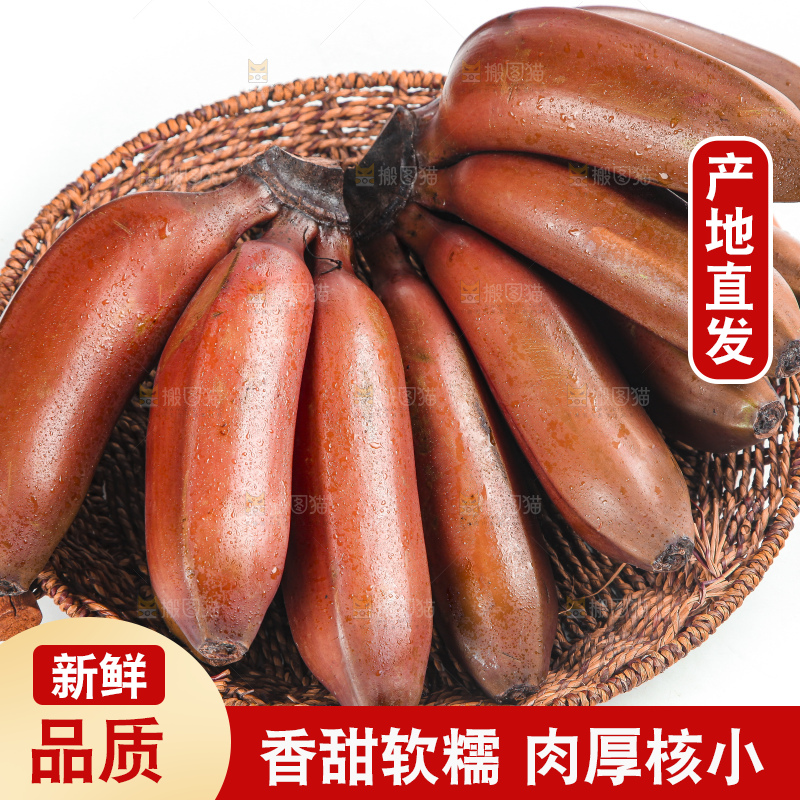 白底上的红皮美人蕉