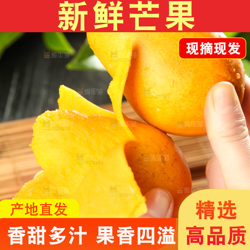 手里拿着台农芒果