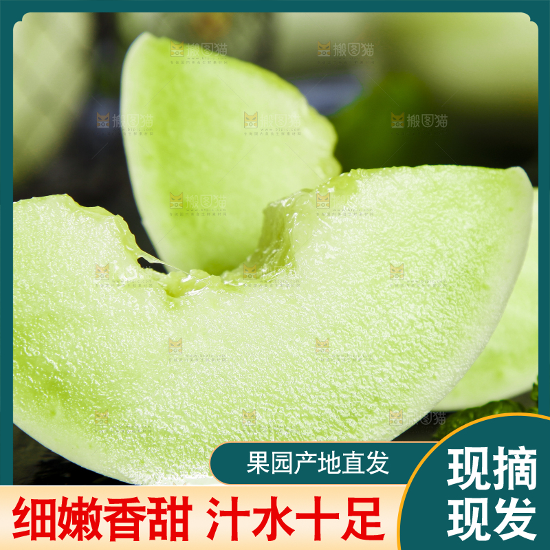 黑底上摆放着山东玉菇甜瓜