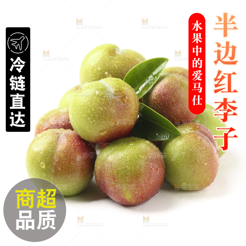 白底上的四川茵红脱骨李