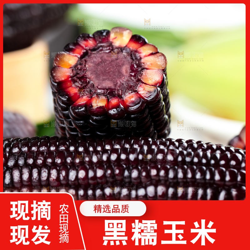 木底上放着山西黑玉米