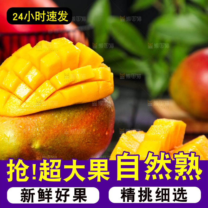 黑石板上的四川吉禄芒