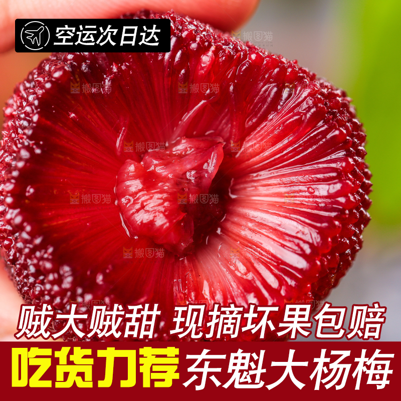 深底上放着余姚杨梅