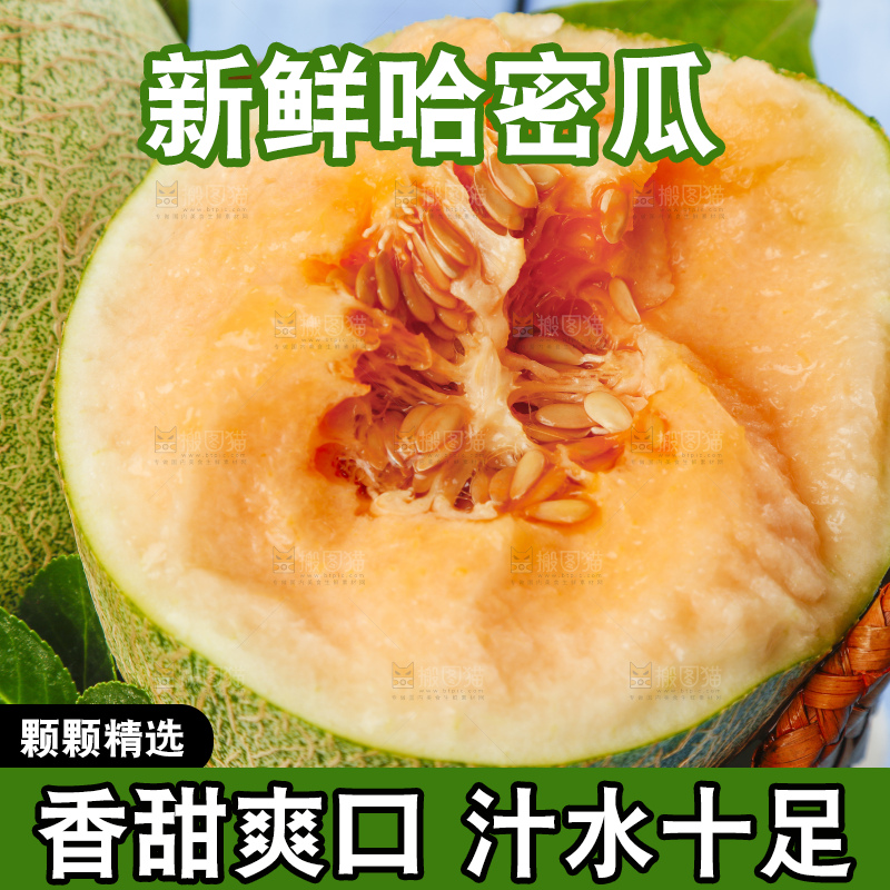 篮子里装着网纹瓜