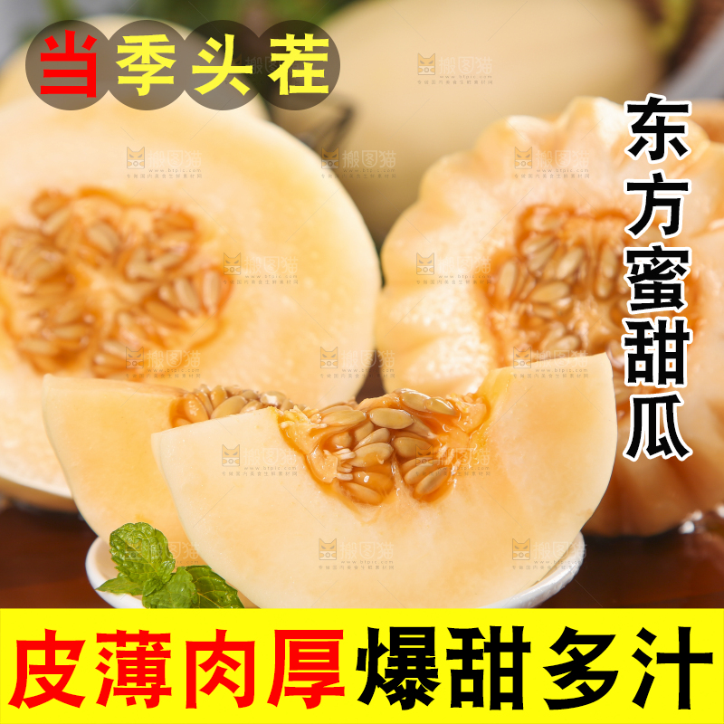 木底上摆放着州东方蜜一号甜瓜