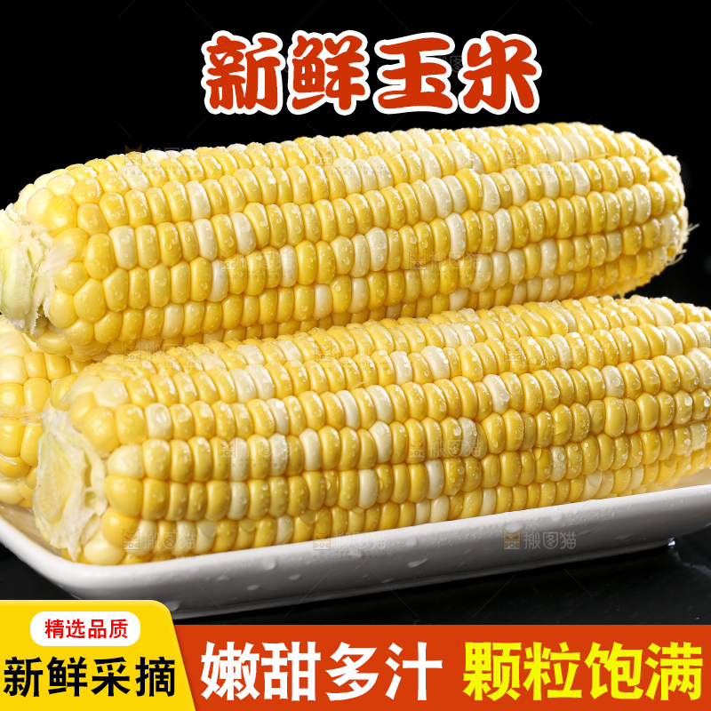 黑底上的云南水果玉米