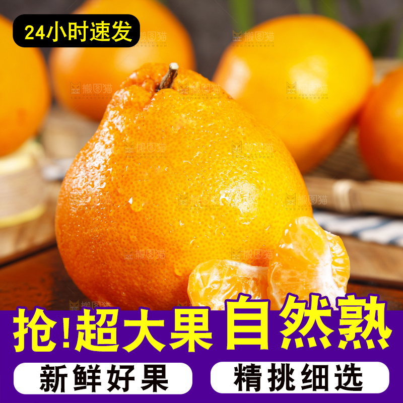 木板上的春见耙耙柑